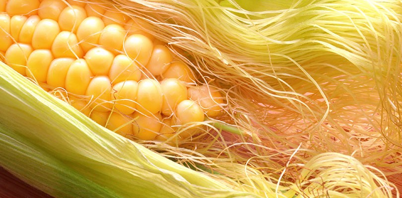 Corn Silk (Zea Mays)